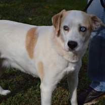 Thumbnail photo of Annie Dixon #1