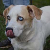 Thumbnail photo of Annie Dixon #3