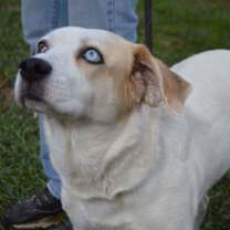 Thumbnail photo of Annie Dixon #4