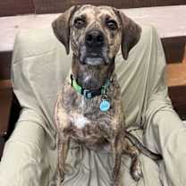 Thumbnail photo of Sunnie Dixon #1