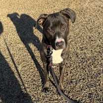 Thumbnail photo of Bobbie Dixon #2