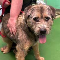 Thumbnail photo of Natalie - At shelter #1