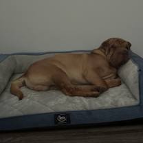 Thumbnail photo of Gucci #1