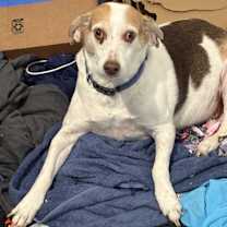 Thumbnail photo of Harper #1