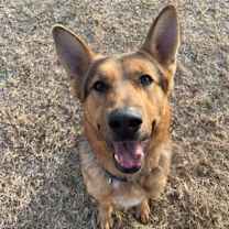 Thumbnail photo of Big Man #1