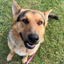 Thumbnail photo of Big Man #3