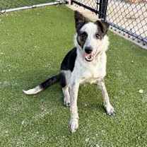 Thumbnail photo of Lady #1