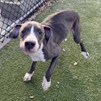 Thumbnail photo of Moon #2