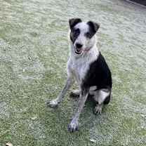 Thumbnail photo of Lady #2