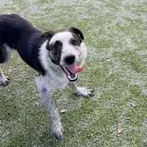 Thumbnail photo of Lady #3