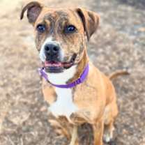 Thumbnail photo of Starstruck #2