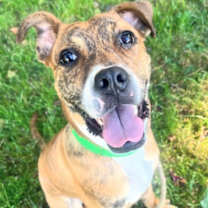 Thumbnail photo of Starstruck #3