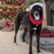 Thumbnail photo of Jasper #1