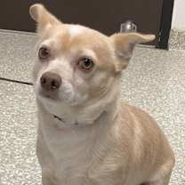 Thumbnail photo of Bobby #1