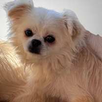 Thumbnail photo of Blitz #2