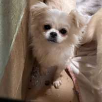 Thumbnail photo of Blitz #3