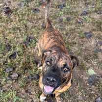 Thumbnail photo of Zeus #3