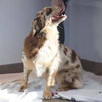 Thumbnail photo of Jessie #3