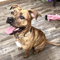 Thumbnail photo of River Leigh #1