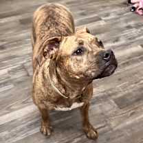 Thumbnail photo of River Leigh #2