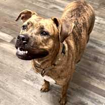 Thumbnail photo of River Leigh #3