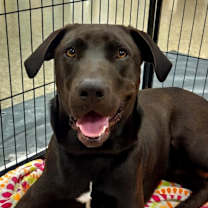 Thumbnail photo of Oscar JuM #1