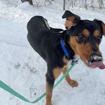 Thumbnail photo of Douglas #2