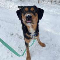 Thumbnail photo of Douglas #4