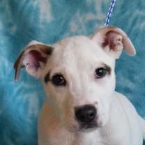 Thumbnail photo of Mackenzie #1