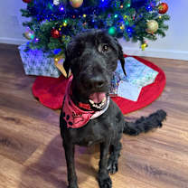 Thumbnail photo of Clara #1