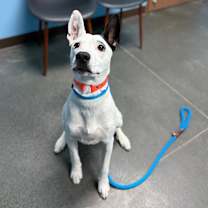 Thumbnail photo of Zeus #1