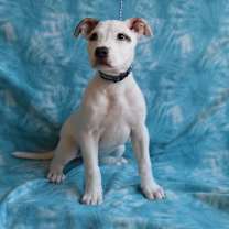 Thumbnail photo of Mackenzie #2