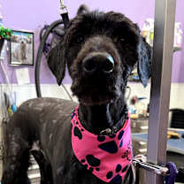 Thumbnail photo of Clara #2