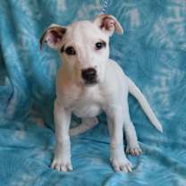 Thumbnail photo of Mackenzie #3