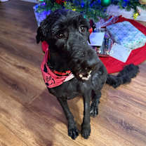 Thumbnail photo of Clara #3