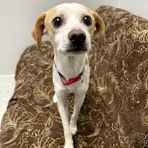 Thumbnail photo of Loverboy #1