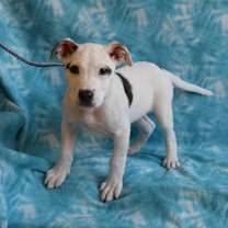 Thumbnail photo of Mackenzie #4