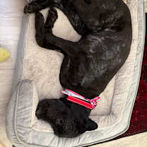 Thumbnail photo of Clara #4