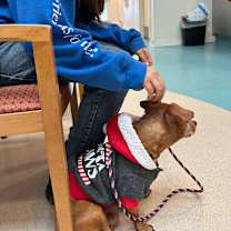 Thumbnail photo of Gaston #4