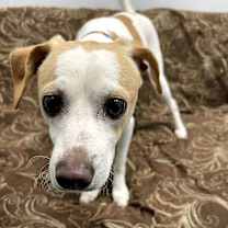 Thumbnail photo of Loverboy #3