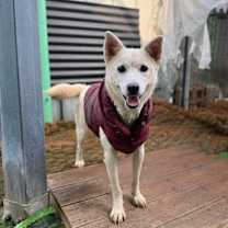 Thumbnail photo of Hyoni #2