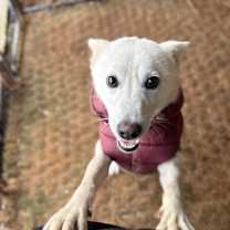 Thumbnail photo of Hyoni #3