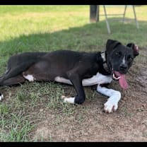 Thumbnail photo of Radio #4