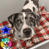 Thumbnail photo of Plum #1