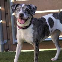 Thumbnail photo of Plum #3