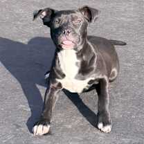 Thumbnail photo of Marnie #2