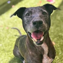 Thumbnail photo of Yzma #2