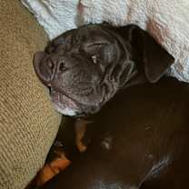 Thumbnail photo of Marnie #3