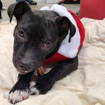 Thumbnail photo of Marnie #4