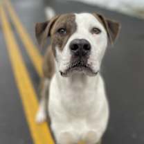 Thumbnail photo of Chance #1